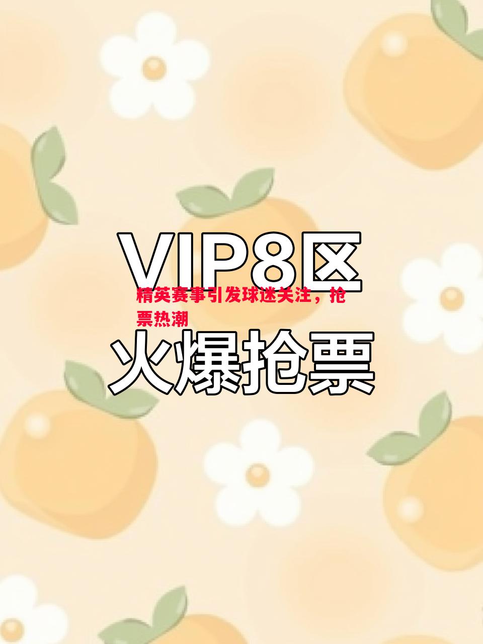 精英赛事引发球迷关注，抢票热潮
