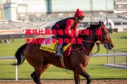ysbSPORTS-赛马比赛现场气氛火爆！澳大利亚选手勇夺冠军